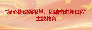 “凝心铸魂强根基、团结奋进新征程”主题教育